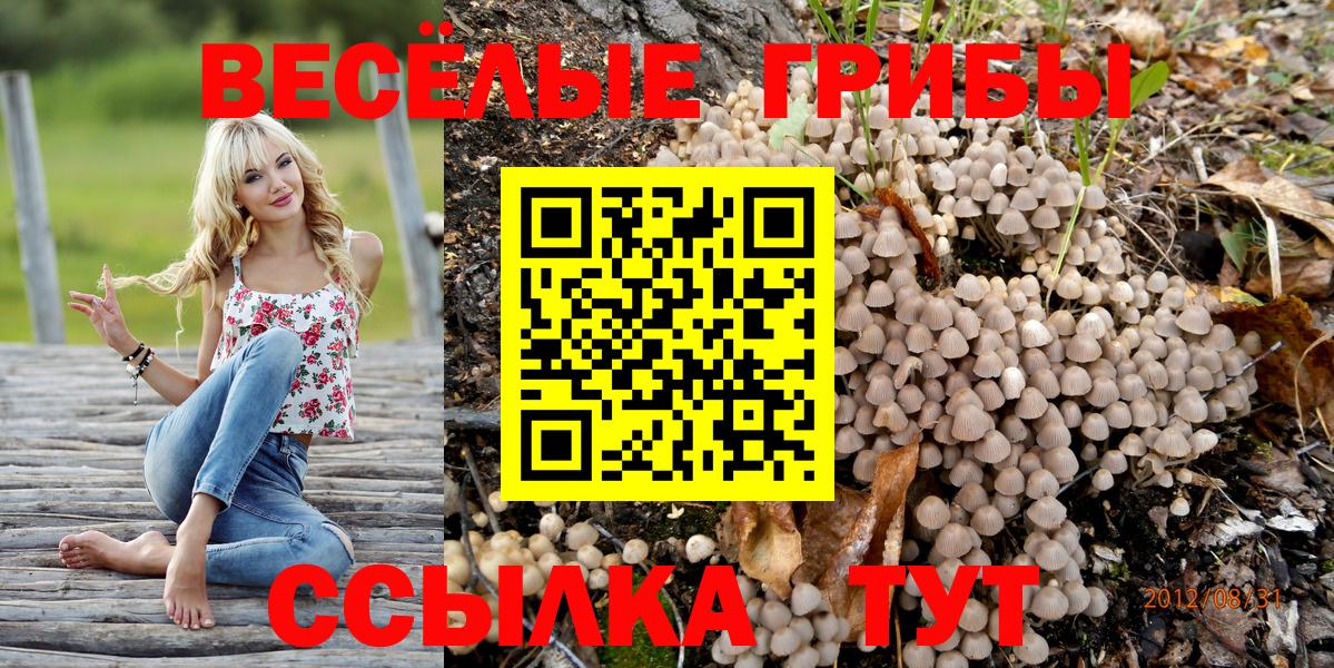 Галлюциногенные грибы мухоморы Сердобск
