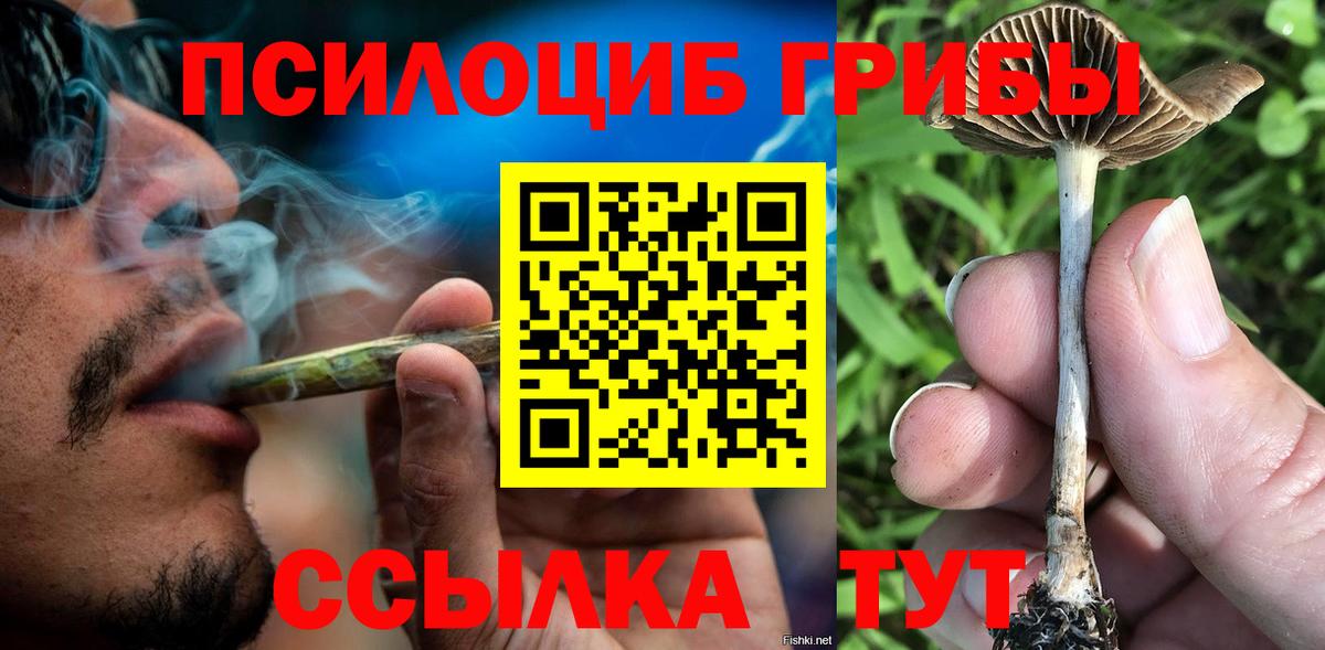 Сердобск  Псилоцибиновые грибы Magic Shrooms  Вход с VPN 